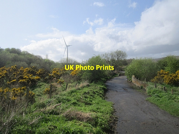 Photo 6"x4" B9097, Whinnyhall Kinglassie\/NT2398 c2013