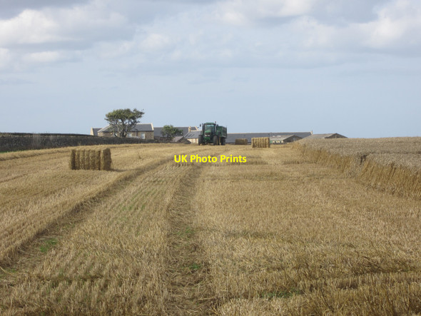 Photo 6"x4" Tractor and trailer waiting, near North Farm, Embleton Embleton\/NU2322 c2013