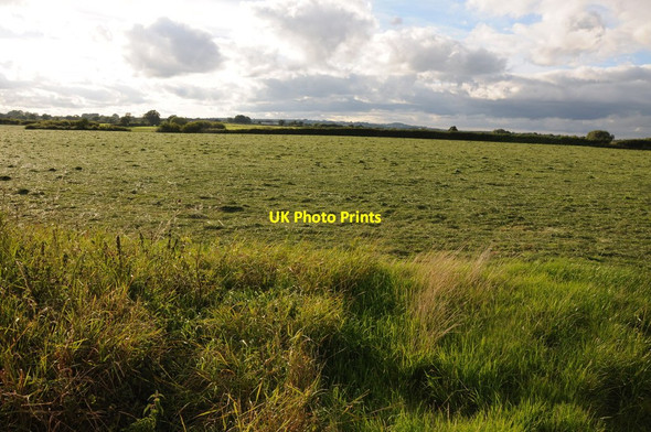 Photo 6"x4" Silage field Wettenhall c2013