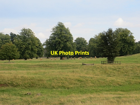 Photo 6"x4" Park, Manderston Duns c2013