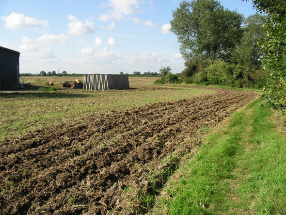 Photo 6"x4" Footpath from Monkton Monkton\/TR2865 c2008