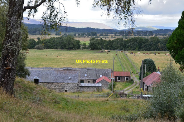 Photo 6"x4" Invertromie farm Lynchat c2013