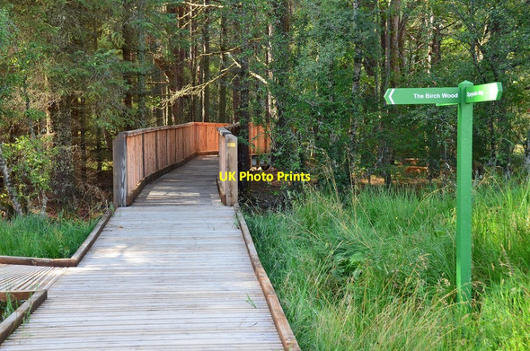 Photo 6"x4" New walkway near Nethy Bridge (2) Nethy Bridge c2013