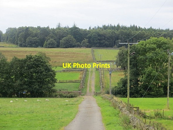 Photo 6"x4" Farm road, Laighwood Clunie\/NO1043 c2013
