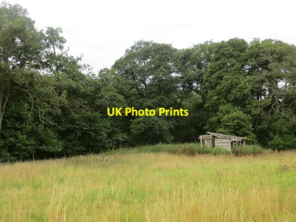 Photo 6"x4" Ruined hut Cardney Ho c2013