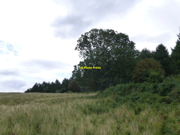 Photo 6"x4" The edge of Simonside Forest Newtown\/NU0300 c2013