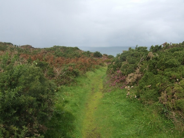 Photo 6"x4" Footpath above St Agnes Head Cross Coombe c2008
