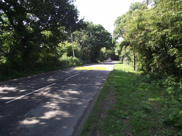 Photo 6"x4" Wools Bridge Ashley Heath\/SU1104 c2013