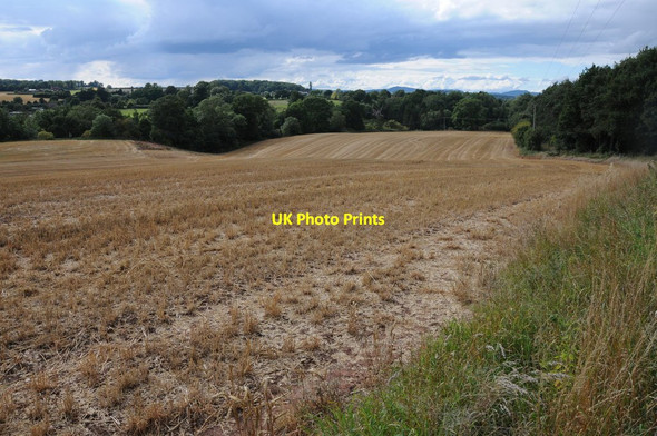 Photo 6"x4" Stubble field at Warren Bank Hadley\/SO8663 c2013