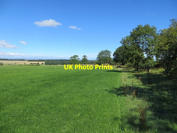 Photo 6"x4" Woodland edge near Lingo Radernie\/NO4709 c2013