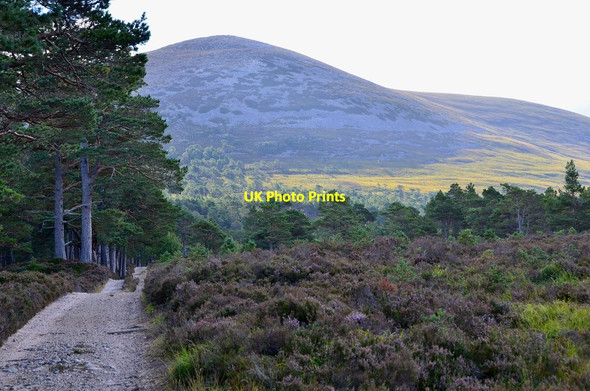 Photo 6"x4" Carn Eilrig Am Beanaidh c2013