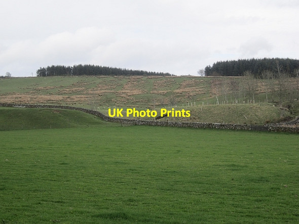 Photo 6"x4" Liddesdale farmland Whithaugh c2013
