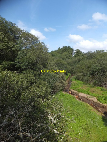 Photo 6"x4" Stream draining into Wistlandpound Reservoir Blackmoor Gate c2013