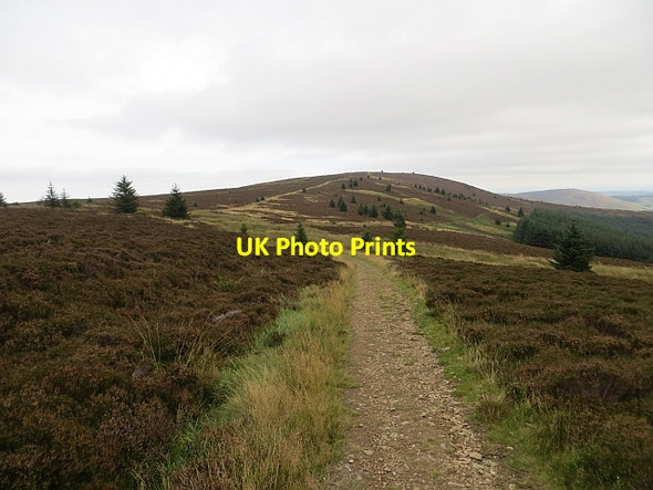 Photo 6"x4" Minchmoor Road Hangingshaw\/NT3930 c2013