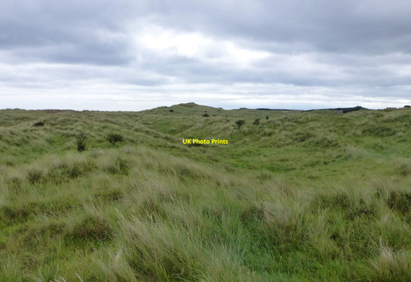 Photo 6"x4" Newton Links dunes Tughall c2013