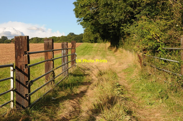 Photo 6"x4" Field entrance Chatley c2013