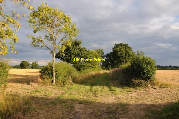 Photo 6"x4" Footpath to Chatley Chatley c2013