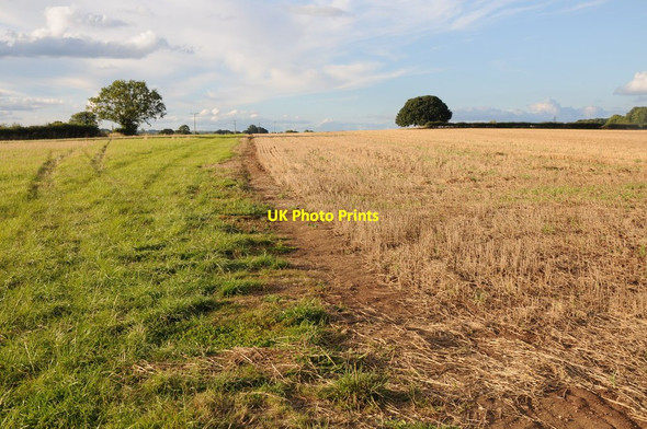 Photo 6"x4" Farmland and a footpath Chatley c2013