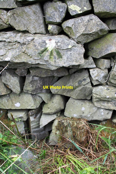 Photo 6"x4" Benchmark on dry stone wall beside A685 at Grayrigg Common Lowgill\/SD6297 c2013
