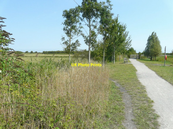 Photo 6"x4" Path in Fowlmead Country Park Deal c2013