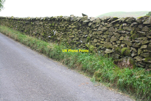 Photo 6"x4" Fairmile Road above High Carlingill Low Borrowbridge c2013