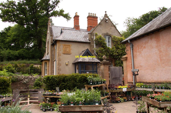 Photo 6"x4" The plant centre at Hestercombe House Gotton c2013 P1