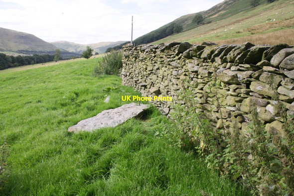 Photo 6"x4" Field beside Fairmile Road at Low Carlingill Lowgill\/SD6297 c2013