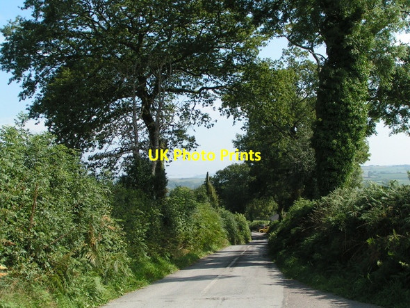 Photo 6"x4" Lane heading east from the B3165 near Blackdown Blackdown\/ST3903 c2013