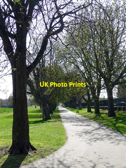 Photo 6"x4" Sutcliffe Park Eltham c2012