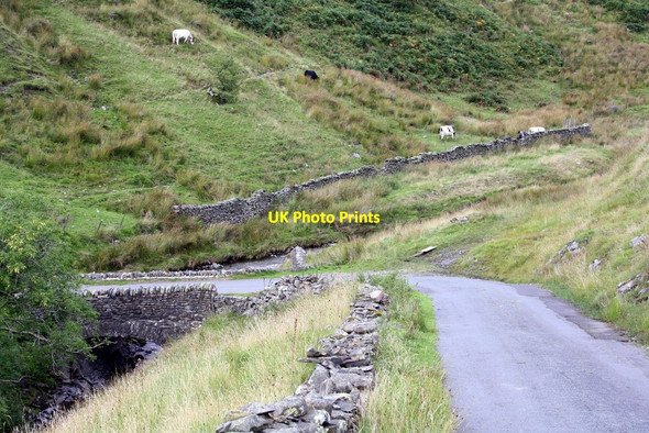 Photo 6"x4" Fairmile Road at Carlingill Bridge Lowgill\/SD6297 c2013