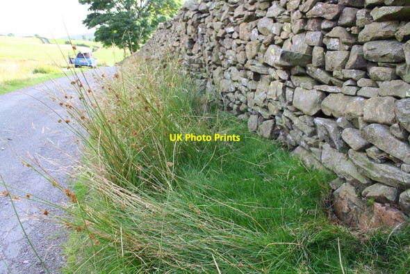 Photo 6"x4" Fairmile Road approaching Dry Gill bridge Lowgill\/SD6297 c2013
