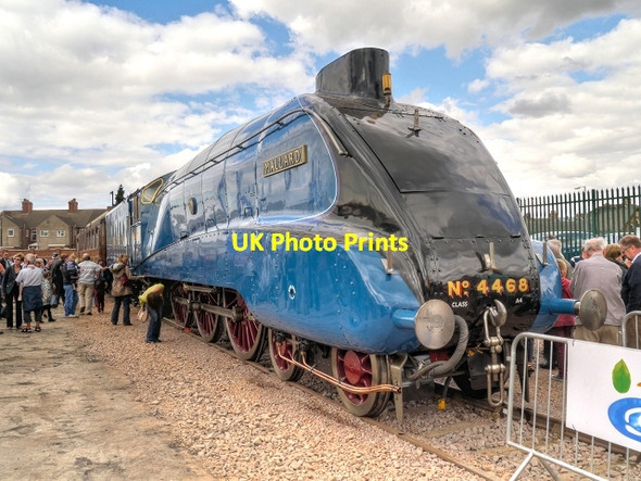 Photo 6"x4" Mallard at Grantham Grantham c2013