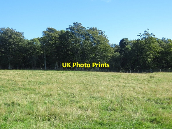 Photo 6"x4" Chance Inn Wood Radernie\/NO4709 c2013