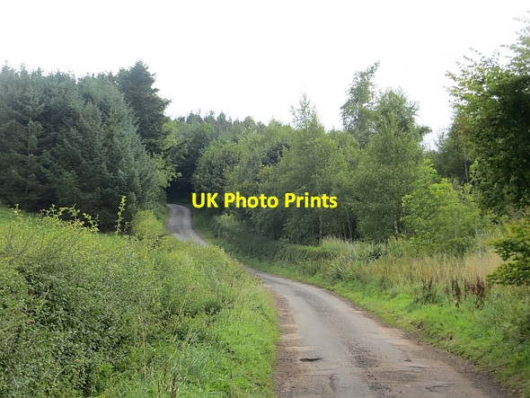 Photo 6"x4" Road, Manderston Duns c2013