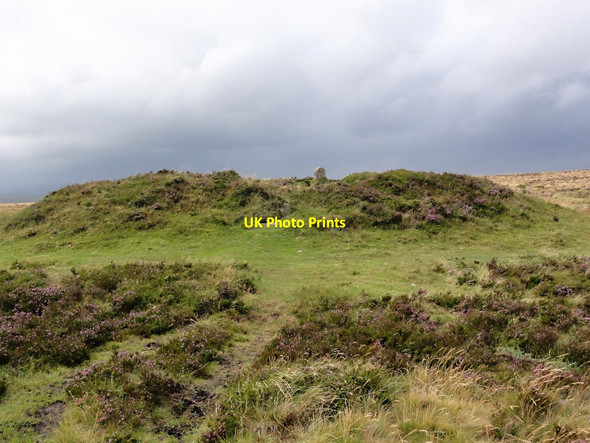 Photo 6"x4" One of Two Barrows Heathercombe c2012