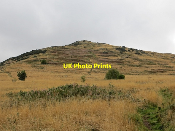Photo 6"x4" Cultivation terraces, Crow Hill Edinburgh c2013