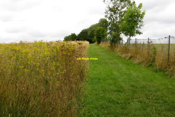 Photo 6"x4" Footpath to Lower Whitley Farm Filchampstead c2013
