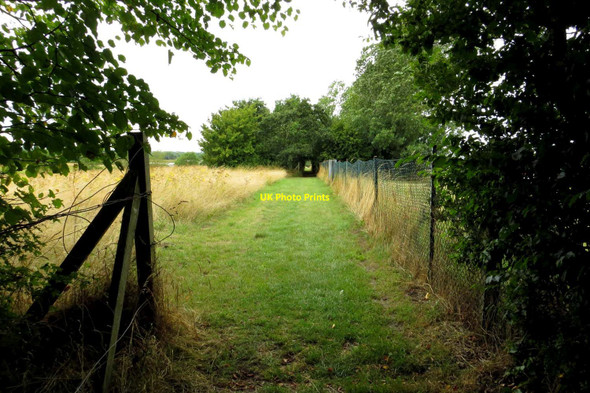 Photo 6"x4" The footpath to Lower Whitley Farm Filchampstead c2013