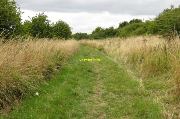 Photo 6"x4" Footpath by the River Thames West End\/SP4204 c2013