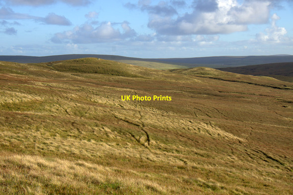 Photo 6"x4" West side of Mill Field, Hermaness Burrafirth c2013