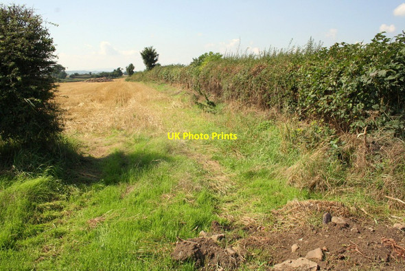 Photo 6"x4" Stubble field south of East Farm Patrick Brompton c2013