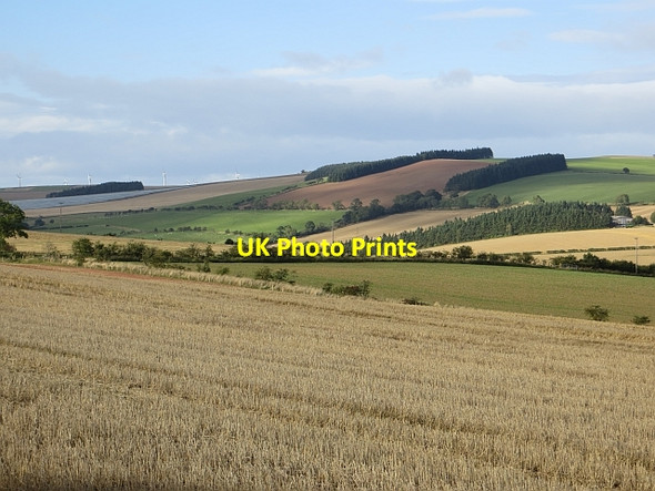 Photo 6"x4" Stubble, Sunnyside Auchencrow c2013