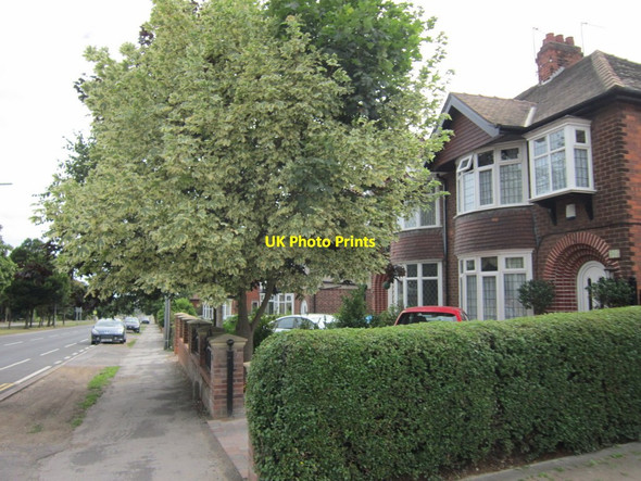 Photo 6"x4" Houses on Boothferry Road, Hessle Hessle\/TA0326 c2013