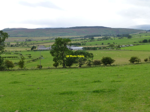 Photo 6"x4" Shipley Smallburns South Charlton c2013