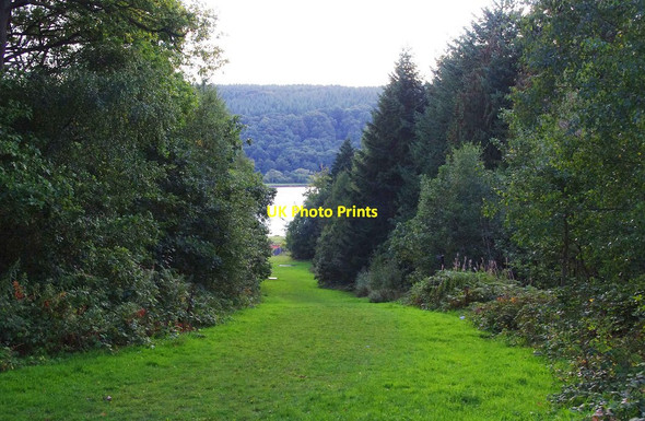 Photo 6"x4" Looking down a woodland ride towards Trimpley Reservoir, Worcs Holbeache c2010