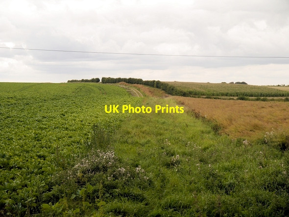 Photo 6"x4" Farmland to the East of Bellmount Plantation Londonthorpe c2013