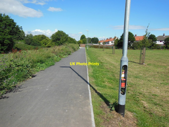 Photo 6"x4" A path leading to Greenwood Avenue, Hull Inglemire c2013