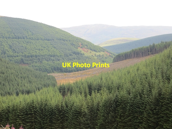 Photo 6"x4" Head of Lewinshope Hangingshaw\/NT3930 c2013
