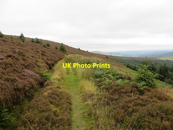 Photo 6"x4" Minchmoor Road Hangingshaw\/NT3930 c2013