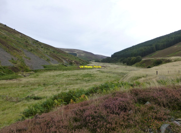 Photo 6"x4" Looking up the valley of Lambden Burn Cheviot Hill c2013